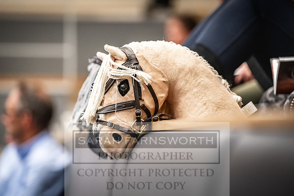 Goffs UK PY24-514