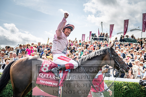 GUK Goodwood Sale 2019-176