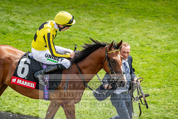 GUK Goodwood Sale 2019-89