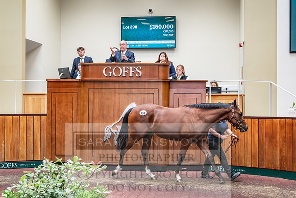 Goffs UK PY24-527