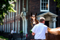 Goffs London Sale 2017-2