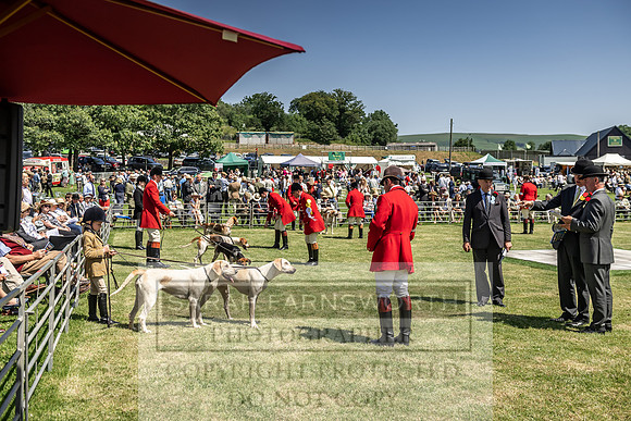 Builth Hound Show 2019-148