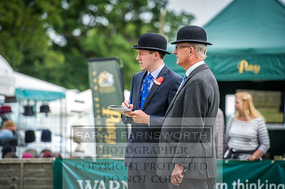 Ardingly Beagles 2016-8