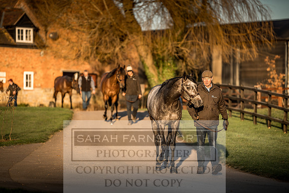 Tweenhills January 2019-105