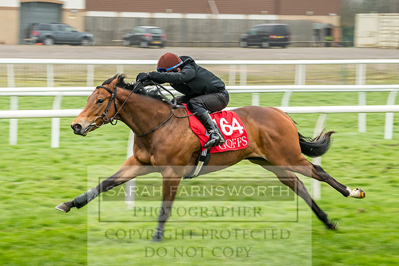 GUK Breeze Up 2018-155