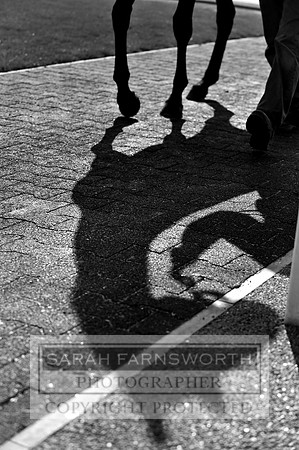 DBS 010911 028 bw