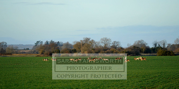 RCB 020114 CF2 349