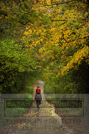 Autumn Snow 027