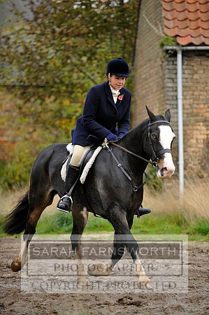 Brocklesby 021113 CF3 888