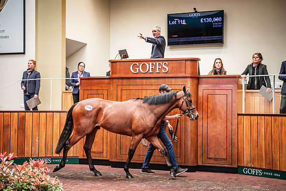 Goffs UK Breeze Up 2022-342