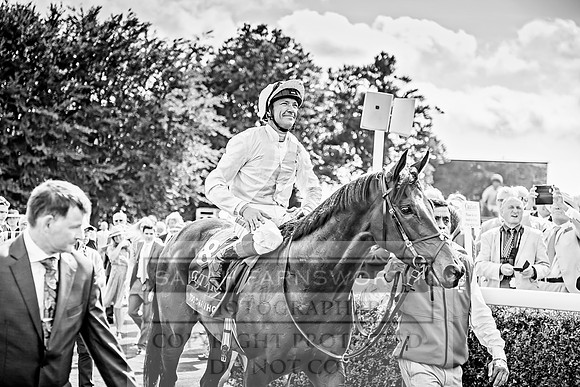 GUK Goodwood Sale 2019-169