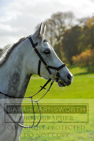 Heythrop Fun Ride 2014-501