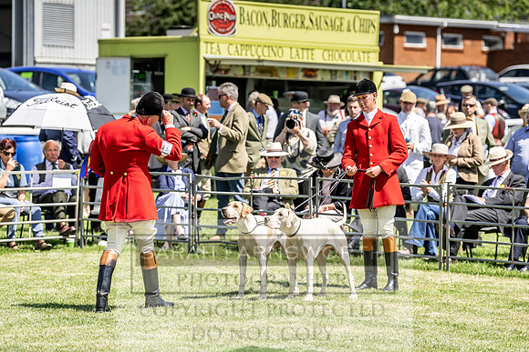 Builth Hound Show 2019-136