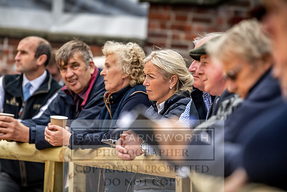 GUK Yorton Sale 2019-274