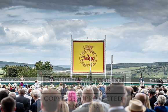 GUK Goodwood Sale 2019-9