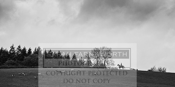 Ludlow 261215-210 bw