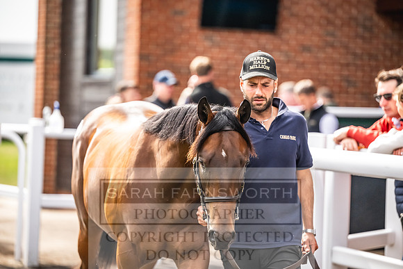 Goffs UK PY24-402