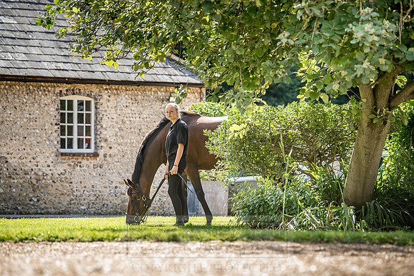 GUK Goodwood Sale 2018-12