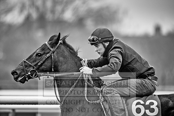 GUK Breeze Up 2018-173