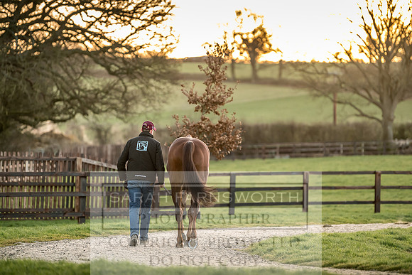 Tweenhills January 2019-73