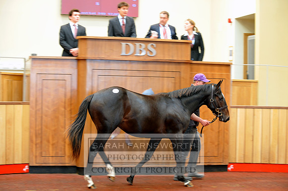 DBS 010911 017