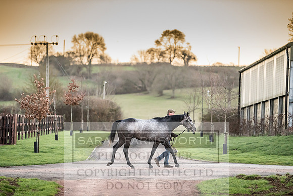 Tweenhills January 2019-28
