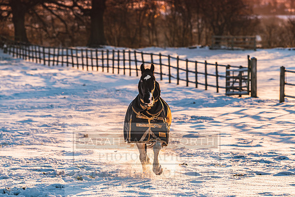 Snowy Cotswolds January 2021-22