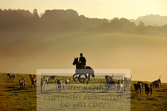 Wilton 011011 030