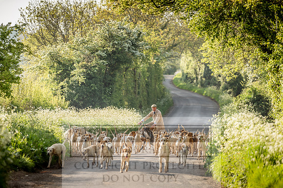Heythrop Kennels-18