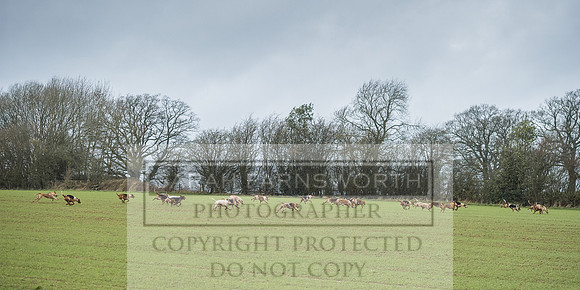 Ludlow 261215-123