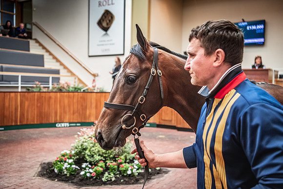 Goffs UK Breeze Up 2022-298
