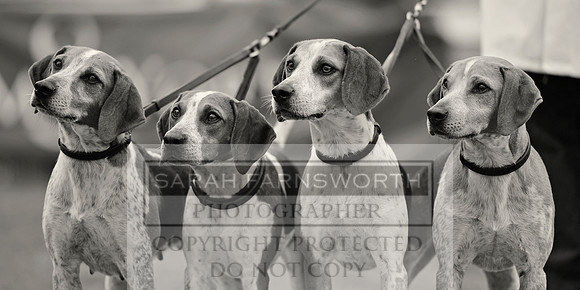 Rydal 2014 CF2 338 bw