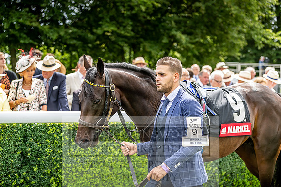 GUK Goodwood Sale 2019-80