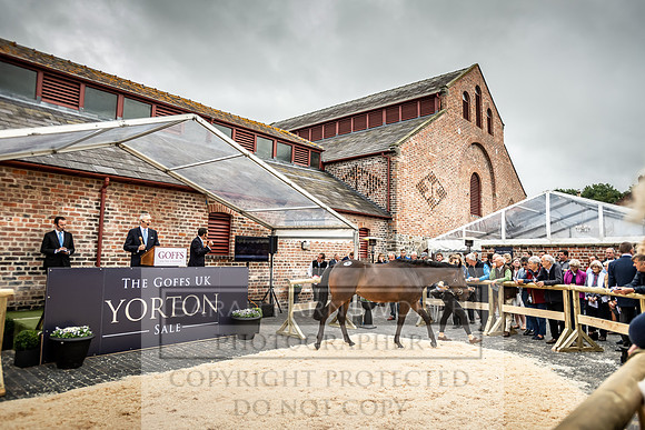 GUK Yorton Sale 2019-301