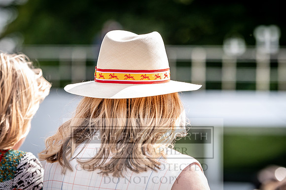 GUK Goodwood Sale 2019-7