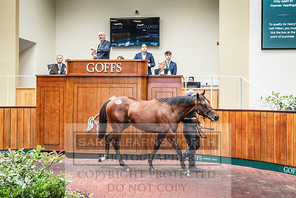 Goffs UK PY24-102