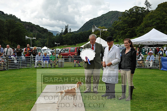 Rydal 2014 CF1 460