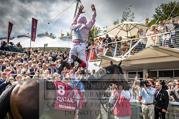 GUK Goodwood Sale 2019-182
