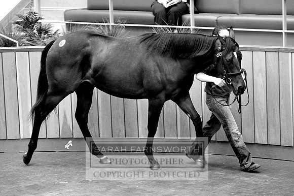 DBS lot 32 001 bw