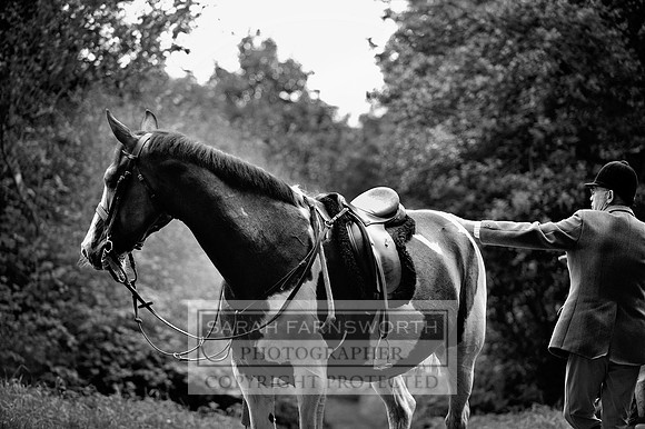 HH 091013 265 bw