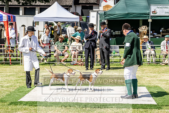 Builth Hound Show 2019-53