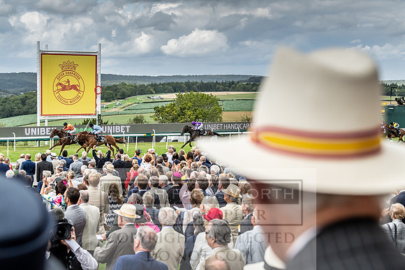 GUK Goodwood Sale 2019-60