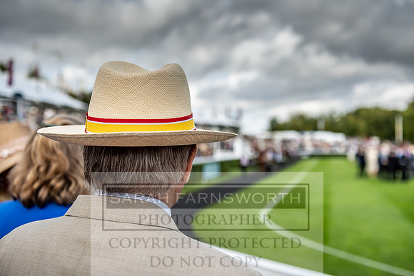 GUK Goodwood Sale 2019-183