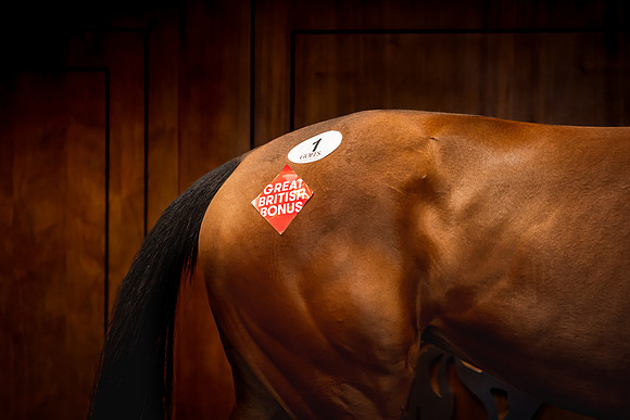 Goffs UK Breeze Up 2022-158