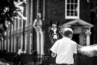 Goffs London Sale 2017-1