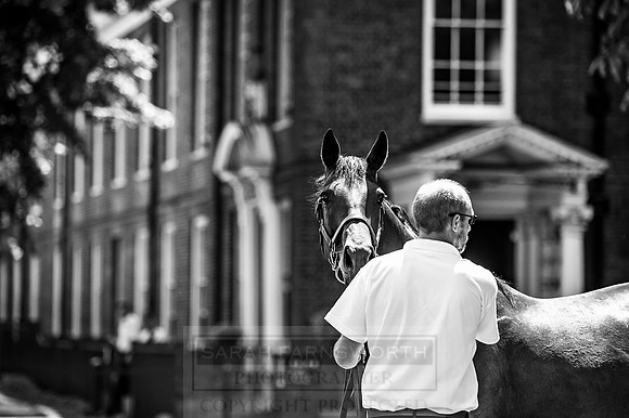 Goffs London Sale 2017-1