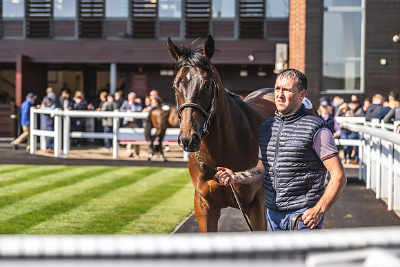 Goffs UK Breeze Up 2022-168