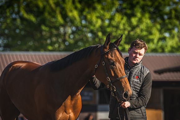 Goffs UK Breeze Up 2022-29