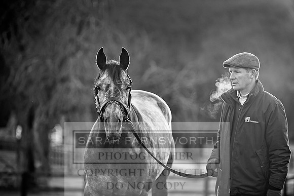 Tweenhills January 2019-93