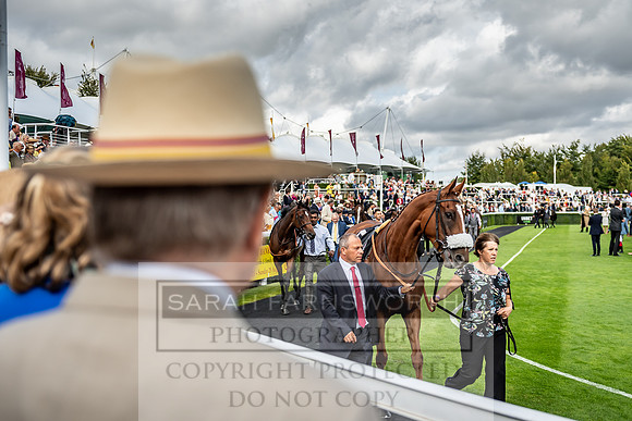 GUK Goodwood Sale 2019-186